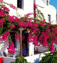 Anna Traditional Apartments  - Καμάρι, Σαντορίνη